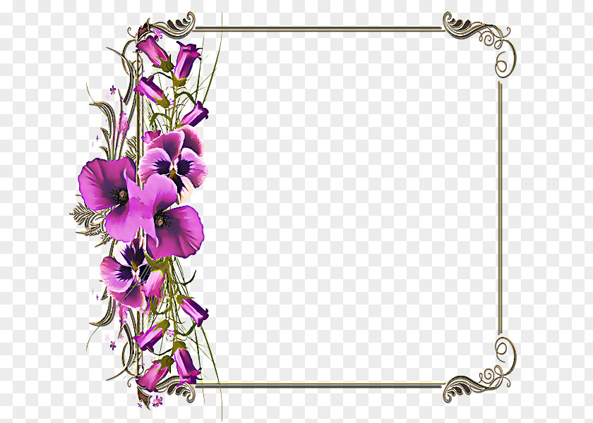 Wildflower Plant Flower Background Frame PNG