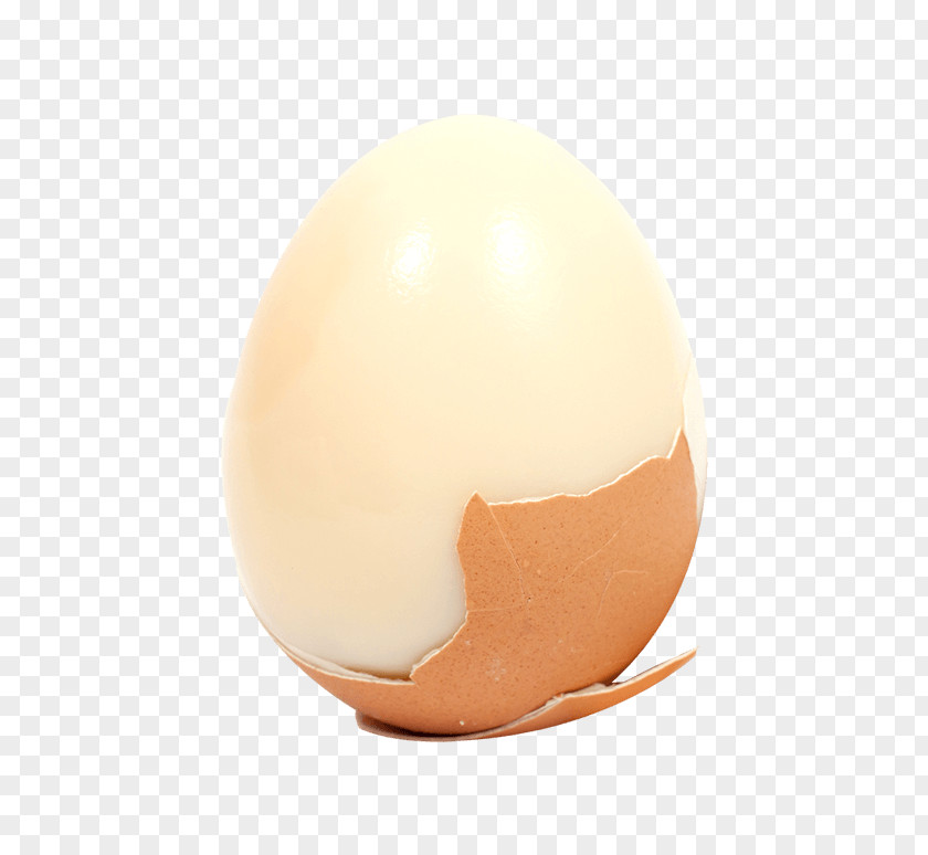 Egg Lighting Sphere PNG