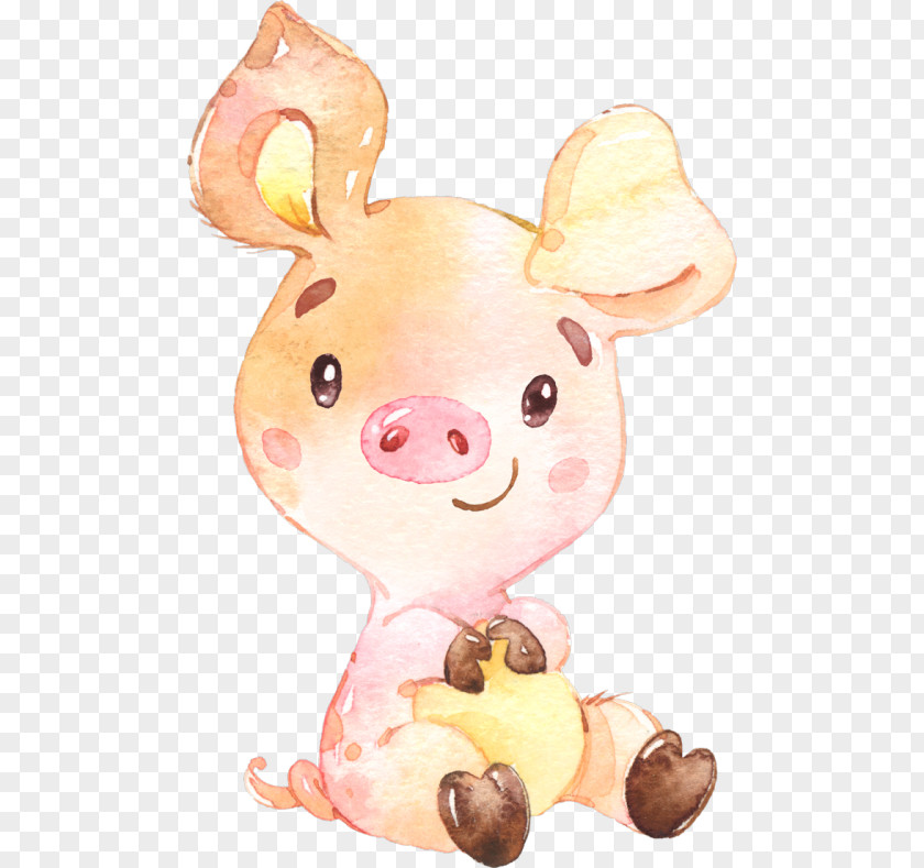 Pig Domestic Watercolor Painting Drawing Illustration PNG