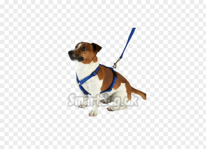 Puppy Dog Breed Companion Leash PNG