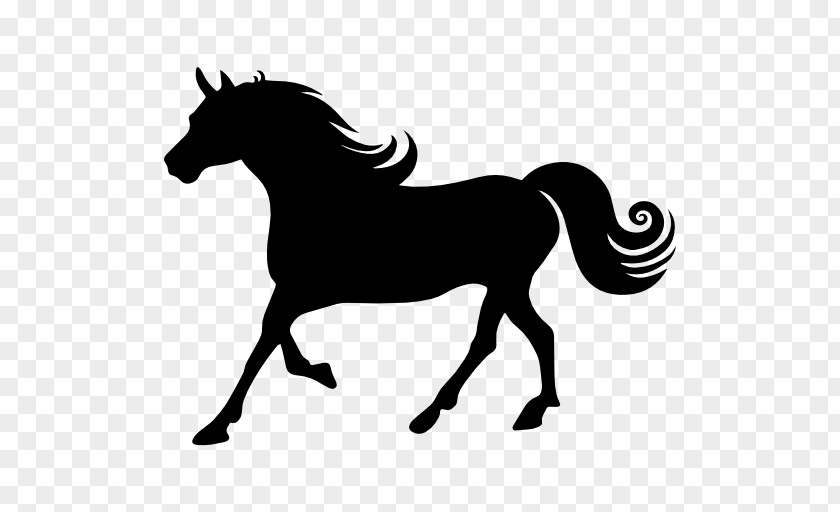 Running Horse Arabian Wild Silhouette PNG