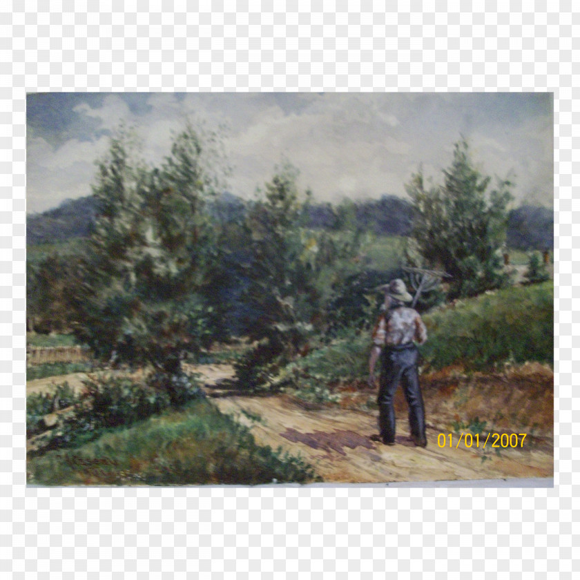 Antiquity Watercolor Plant Community Forest Ecosystem Painting PNG