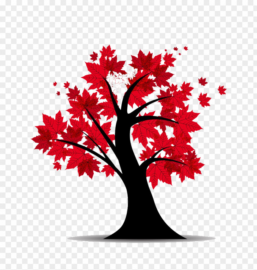 Autumn Maple Cartoon HD Free Buckle Material Red Tree Euclidean Vector Illustration PNG