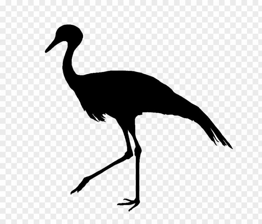 Blue Crane Bird Silhouette Feather PNG