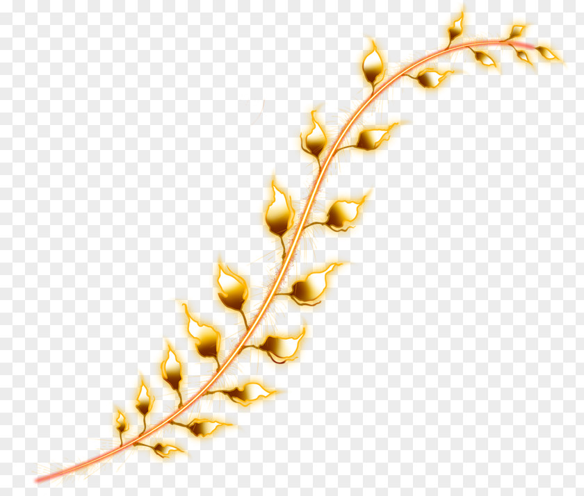 Gold Leaf Commodity Twig Product PNG