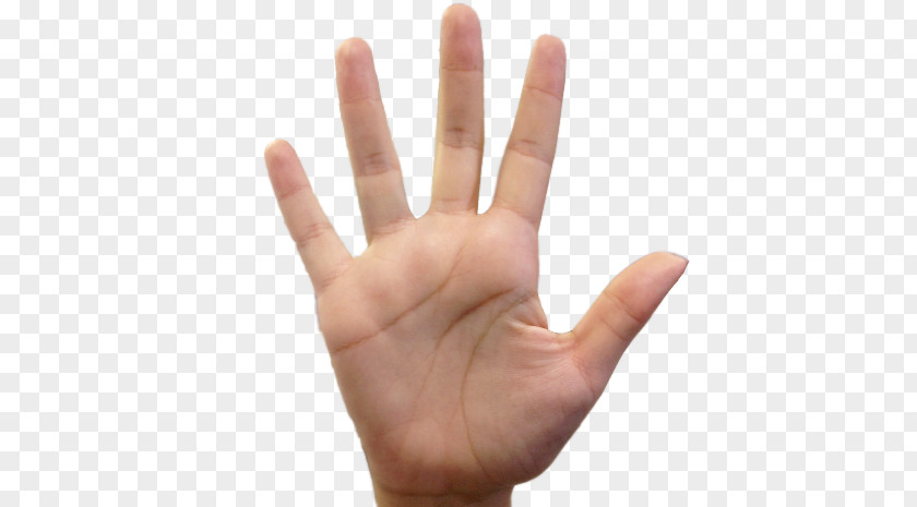 Hand Dlan Thumb Symbol Meaning PNG