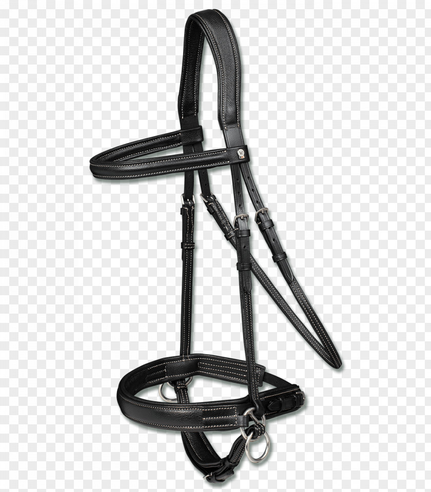 Horse Bitless Bridle Equestrian PNG