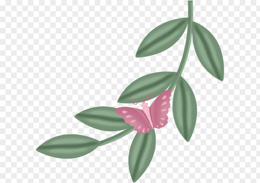 Leaf,butterfly Butterfly Leaf PNG