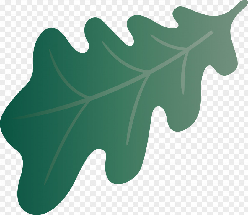 Oak Leaf PNG