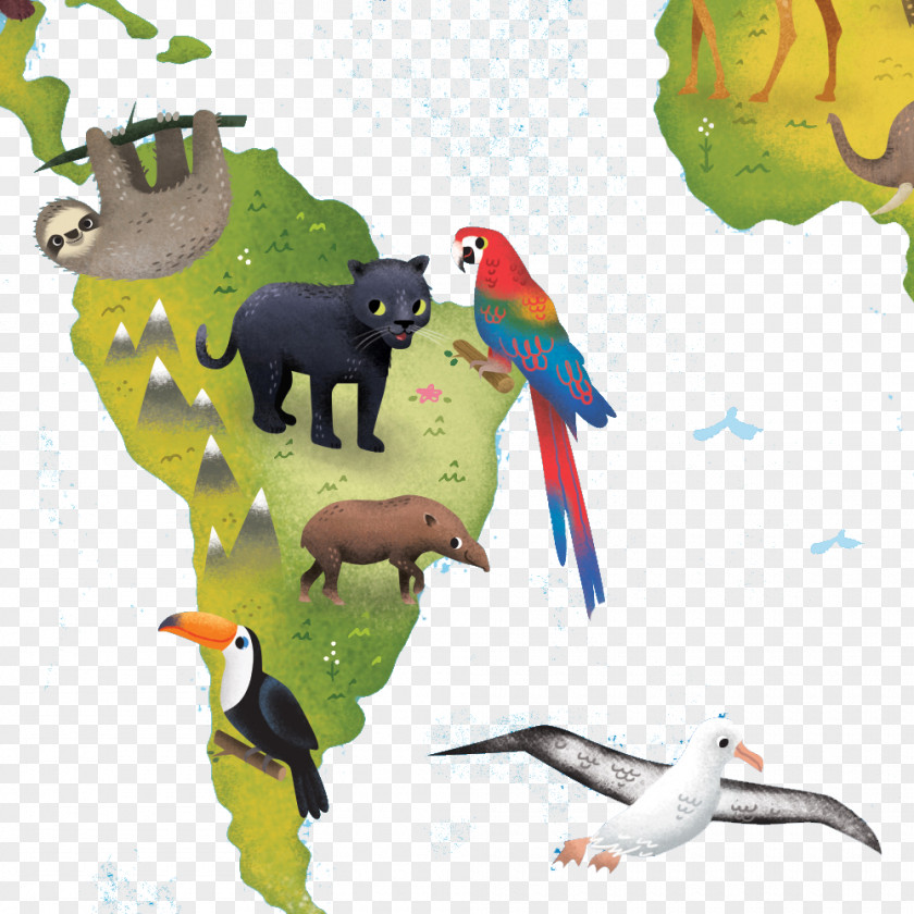Painted Leopard Island Parrot Cartoon Illustration PNG