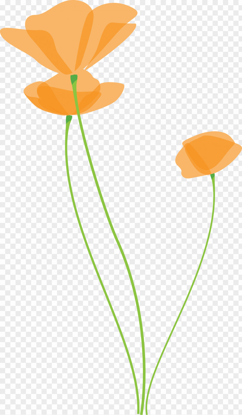 Poppy Flower PNG