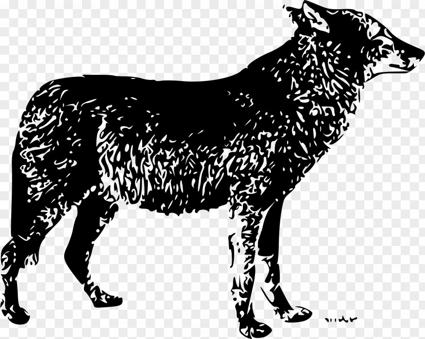 Wolf Gray Drawing Lone Clip Art PNG