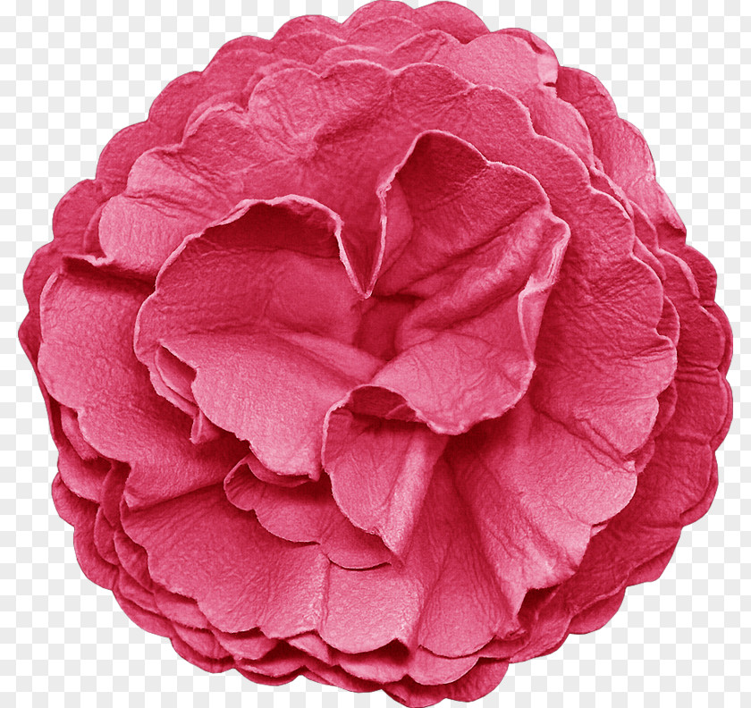 Digital Scrapbooking Collage Garden Roses PNG