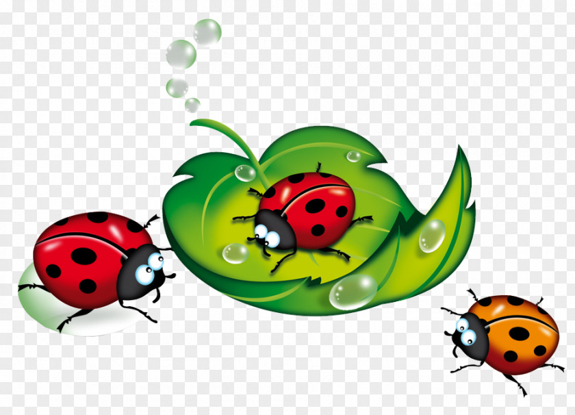 Ladybug Ladybird Blog Beetle Clip Art PNG