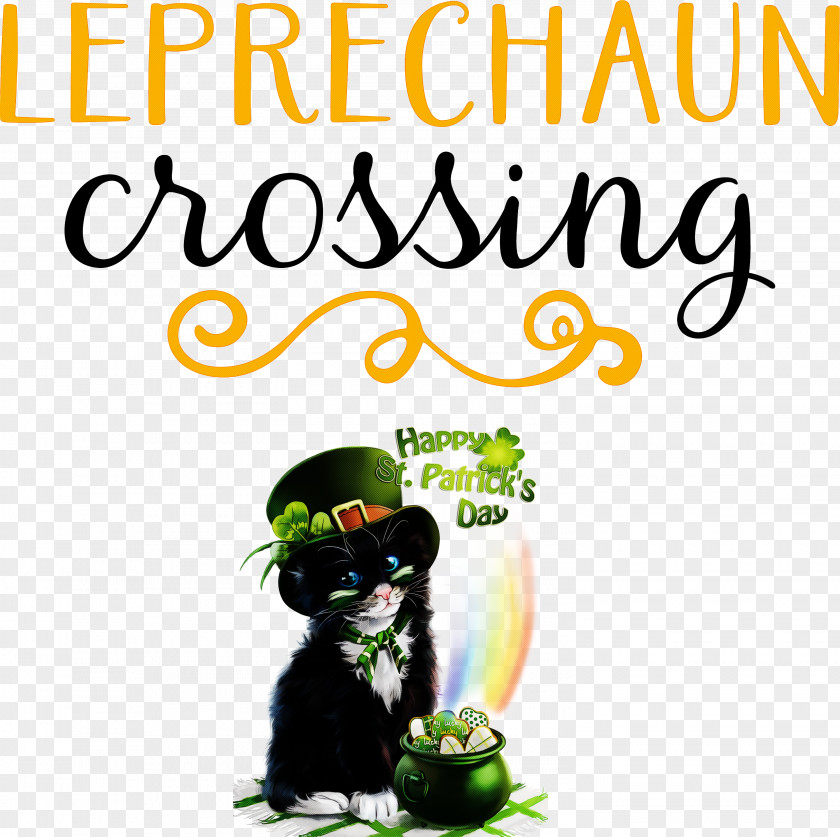 Leprechaun Patricks Day Saint Patrick PNG