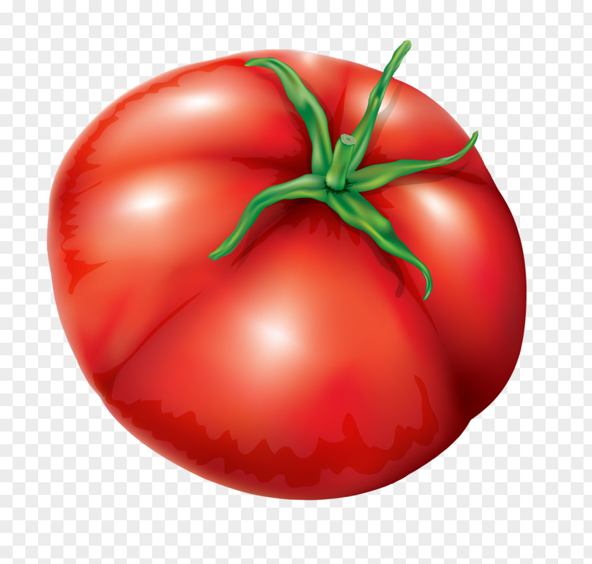 A Large Tomato Plum Bush Soup PNG