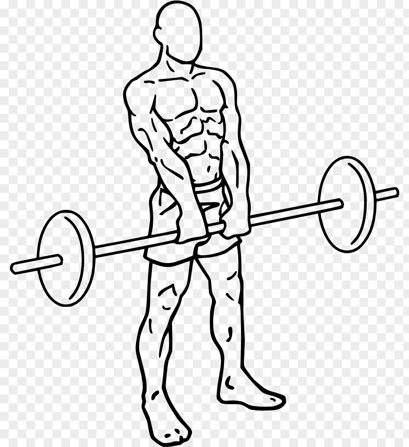 Barbell Upright Row Smith Machine Bent-over Overhead Press PNG