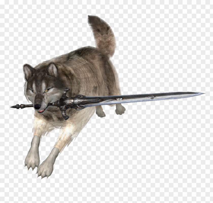 Dark Souls III Sif, The Great Grey Wolf Souls: Artorias Of Abyss PNG