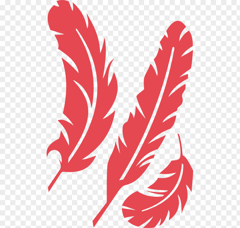 Feather Bird Art Stencil Clip PNG