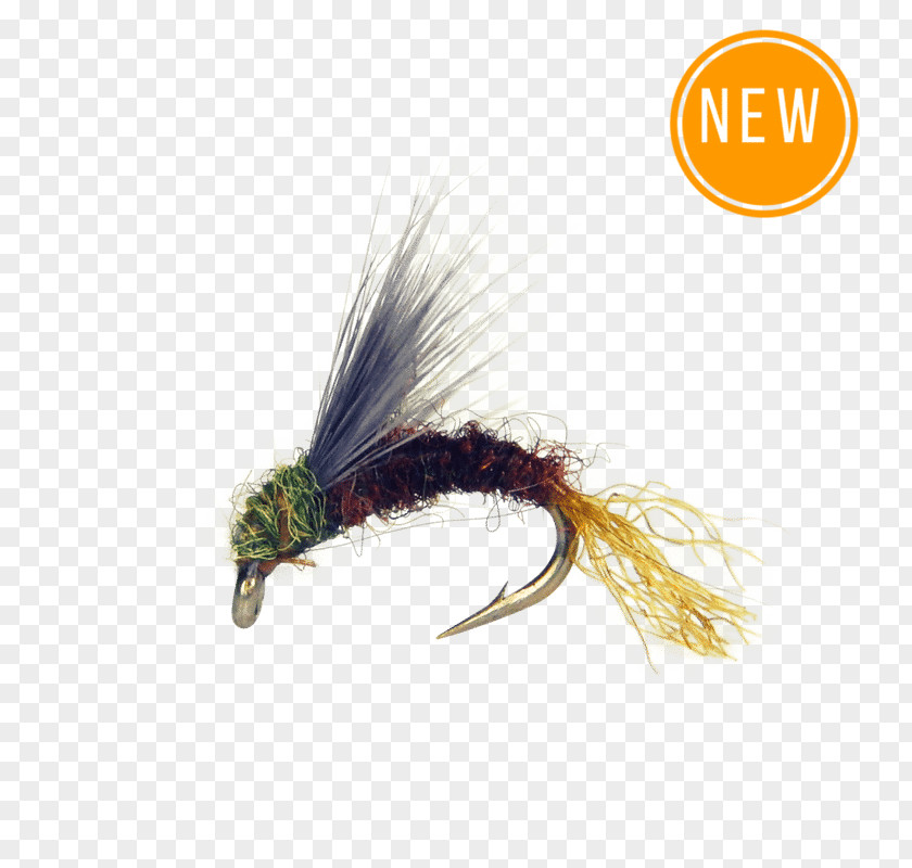 Insect Baetis Fly Fishing Artificial Nymph PNG