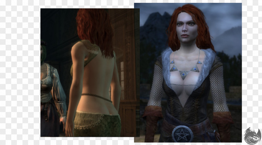 The Witcher 3 3: Wild Hunt 2: Assassins Of Kings Triss Merigold Universe PNG