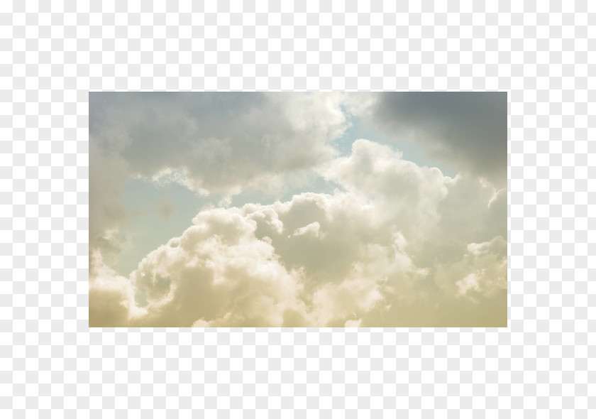 Cloud Desktop Wallpaper Forest Sky White PNG