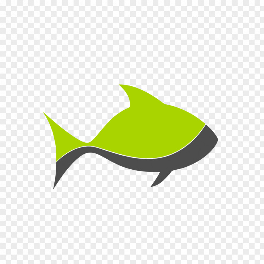 Fish Elements Logo Object Clip Art PNG