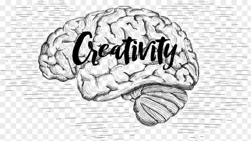 Hand Drawn Brain, Creativity, Imagination Drawing Brain Central Nervous System PNG