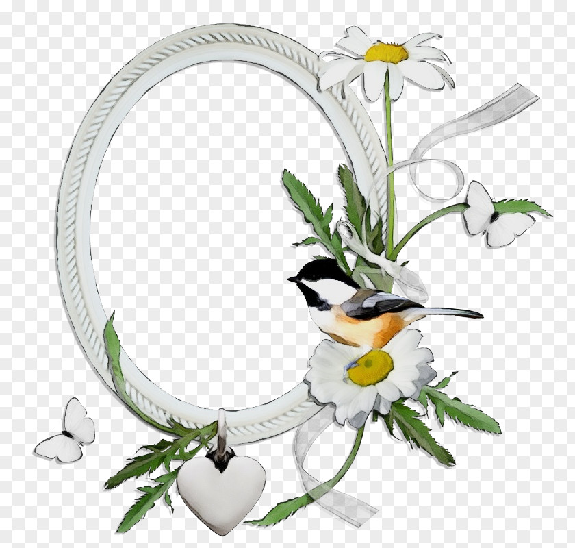 Mayweed Plant Floral Design PNG