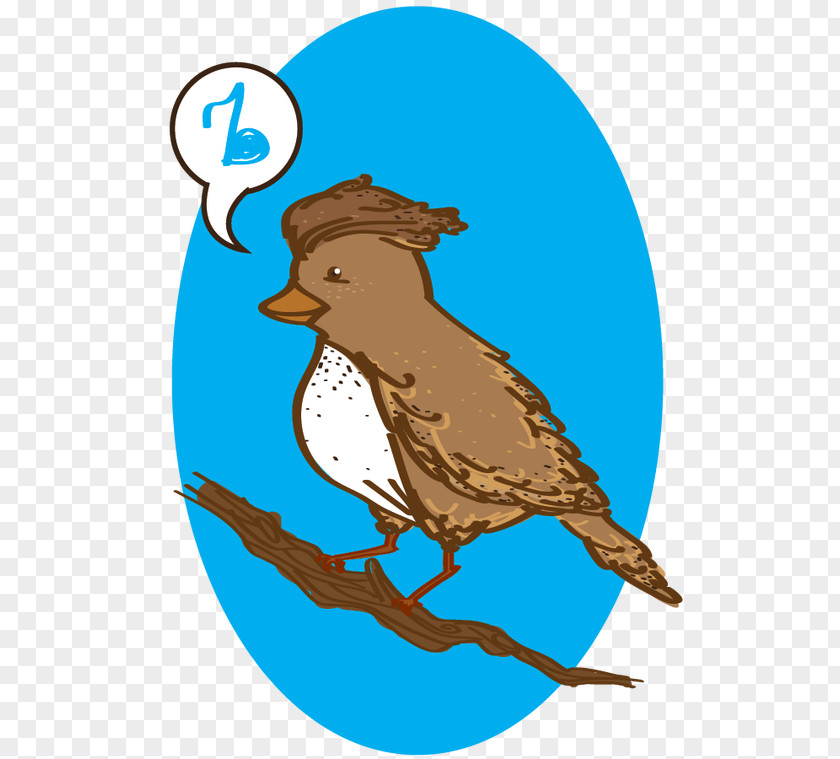 Bird Rufous Hornero Passerine Drawing Clip Art PNG
