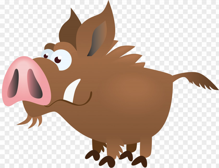 Boar Animation Wildlife Cartoon Clip Art PNG