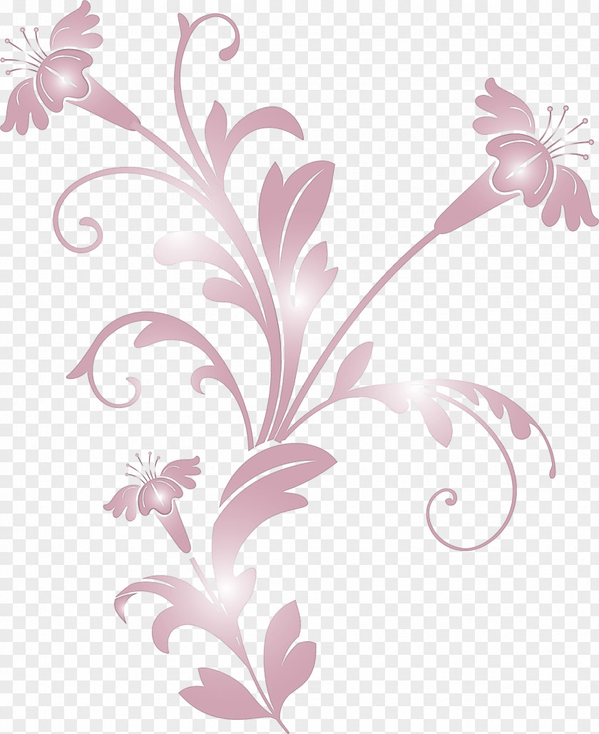 Decoration Frame Floral Flower PNG