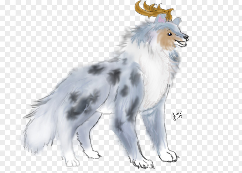 Dog Breed Rough Collie Paw Tail PNG