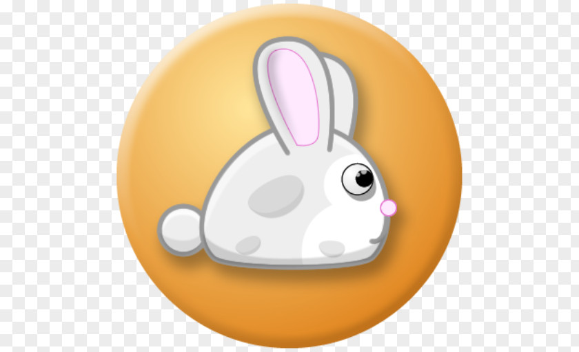 Fluffy Bunnies Domestic Rabbit Easter Bunny Product Design PNG