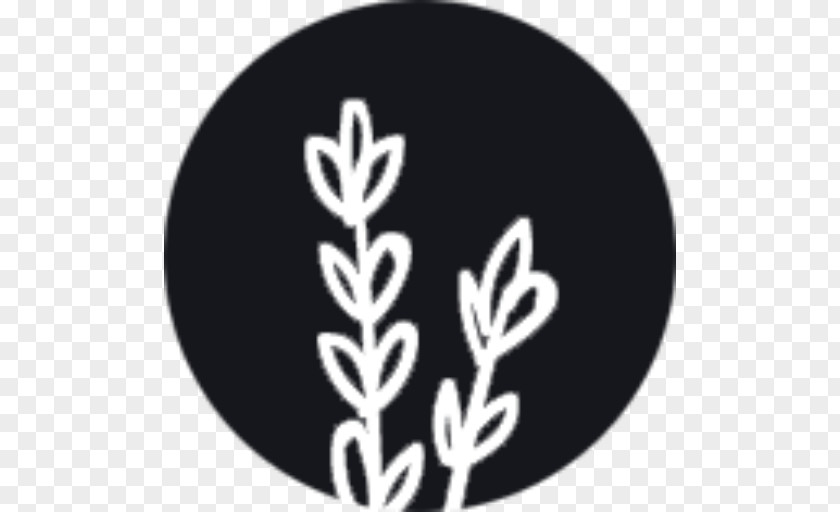 Plant White Font PNG