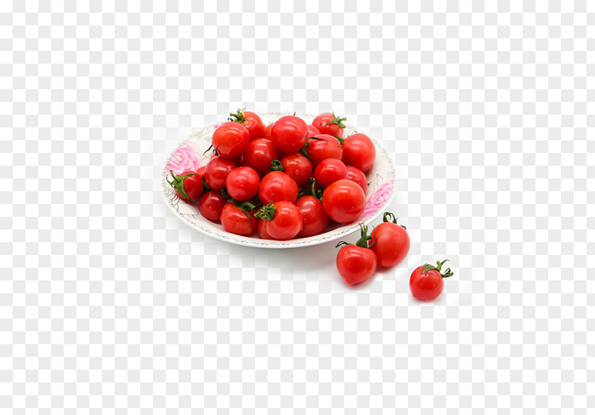 Red Tomato Vegetable PNG