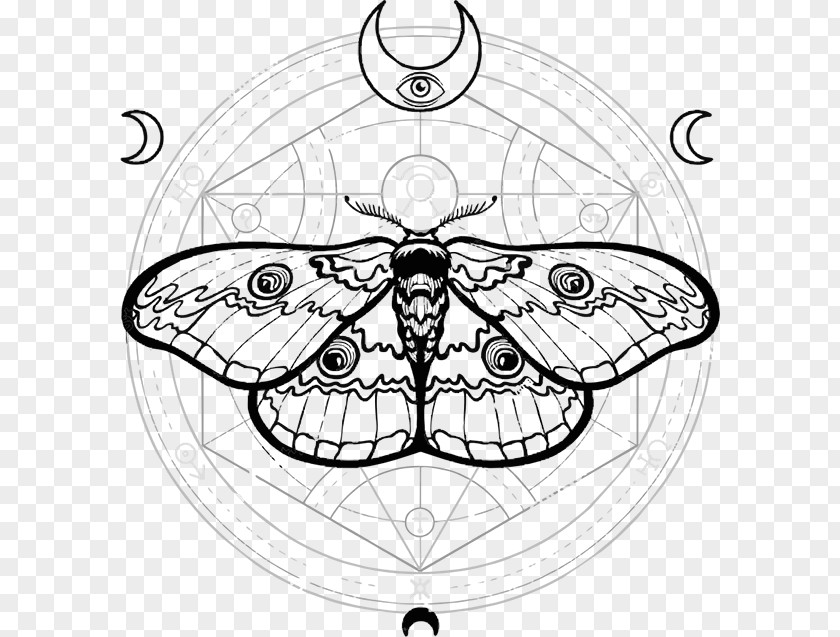 Butterfly Sacred Geometry Moth Drawing PNG