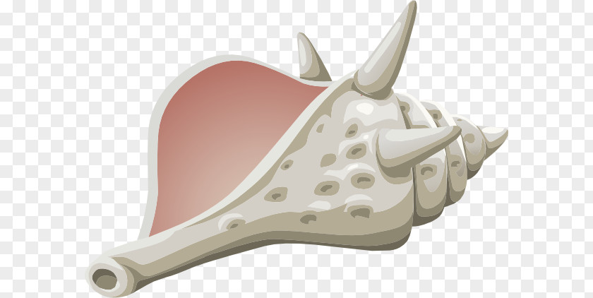 Conch Cliparts Seashell Clip Art PNG