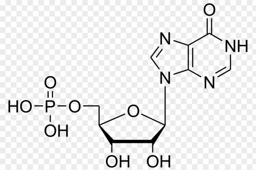 Inosinic Acid Adenosine Monophosphate Deoxyuridine Guanosine PNG