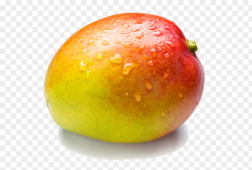 Mango Clip Art PNG
