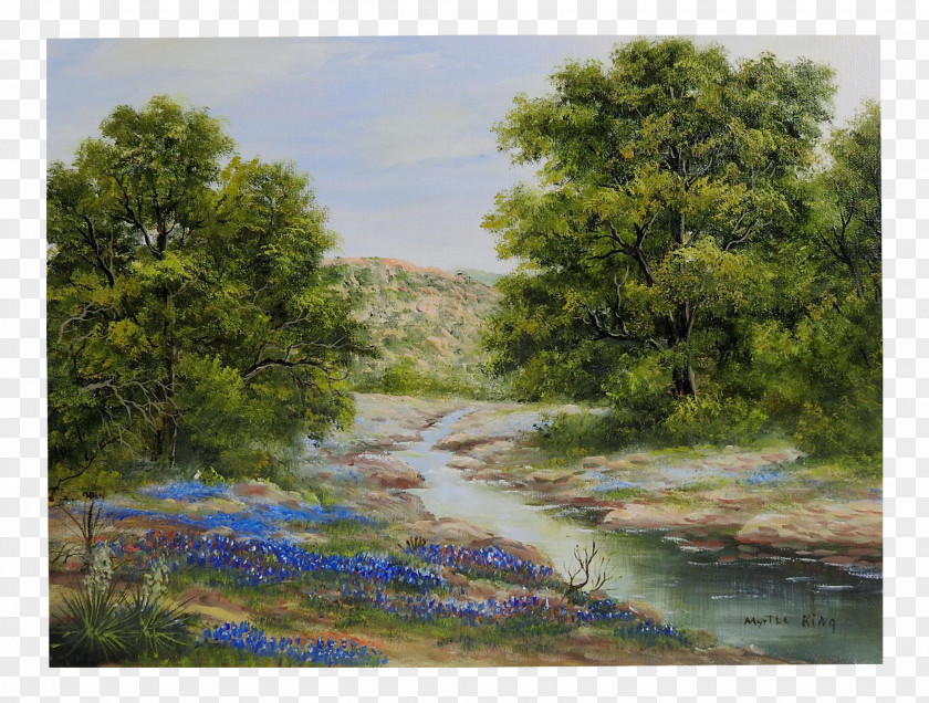 Painting Texas Bluebonnet Landscape PNG