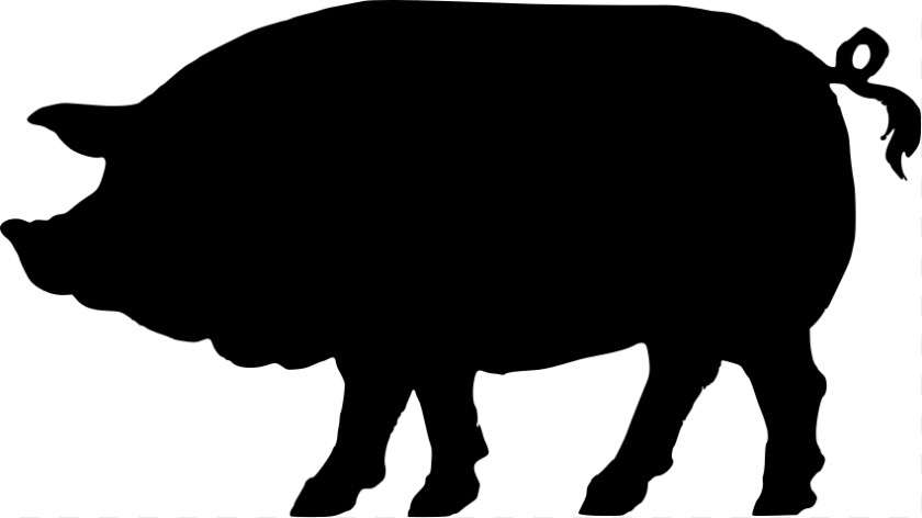 Pig Silhouette Images Domestic Clip Art PNG
