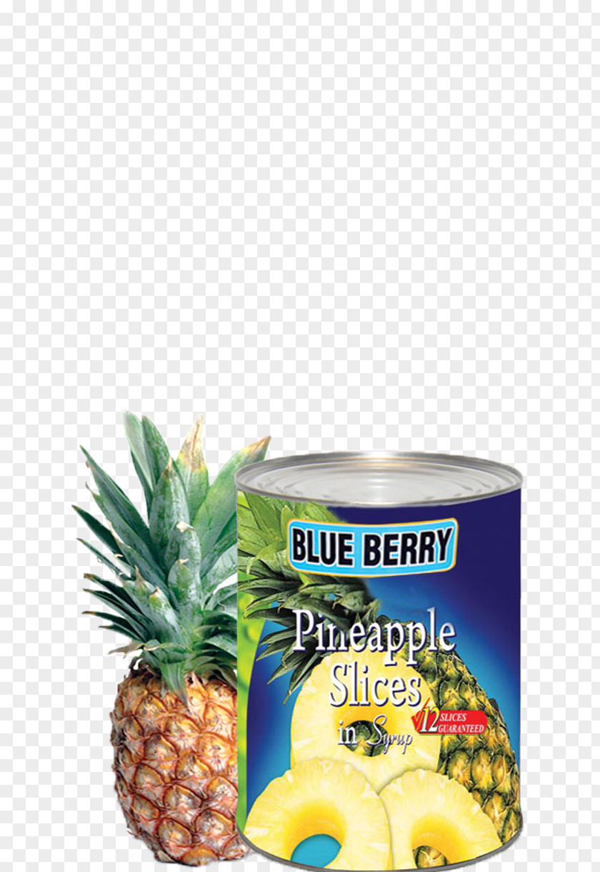 Pineapple Slices Food Fruit Canning PNG