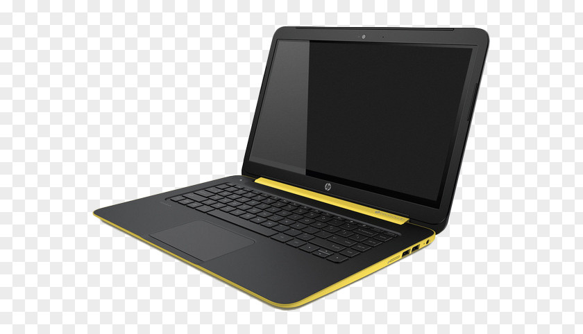 Small Wasp Computer Netbook Laptop PNG