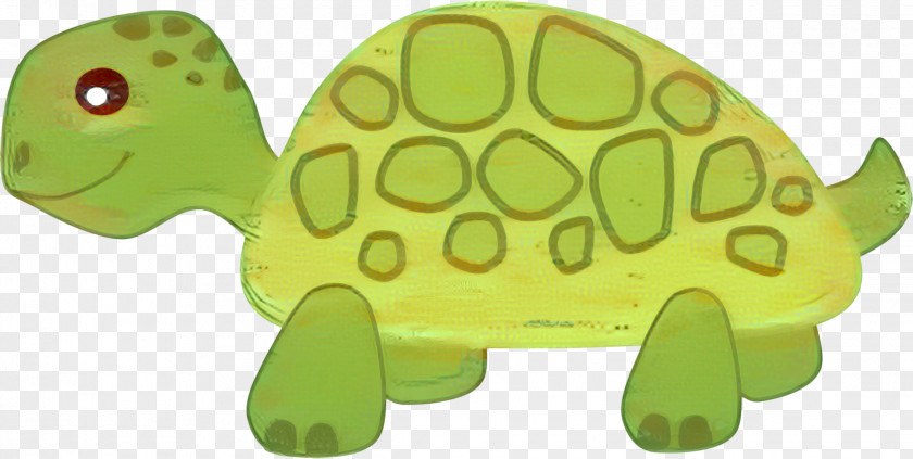 Turtle Clip Art Image Cartoon PNG