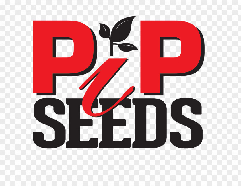 Alfalfa PIP SEEDS Seed Company PNG