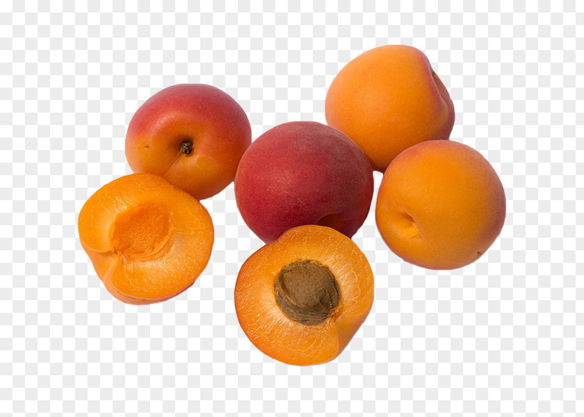 Apricot Fruit Vegetarian Cuisine Kernel Food PNG