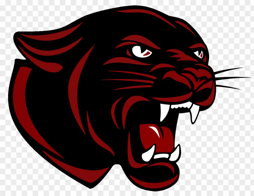 Black Panther Permian High School Carolina Panthers Sport PNG