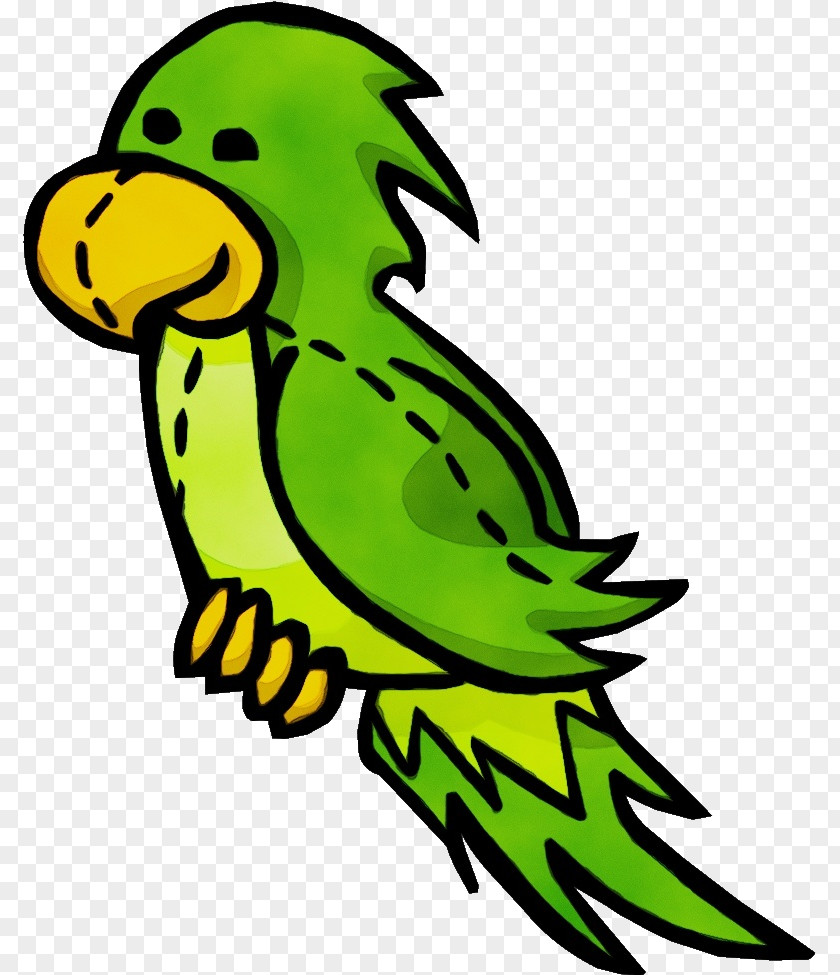 Budgie Parakeet Bird Green Parrot Beak PNG