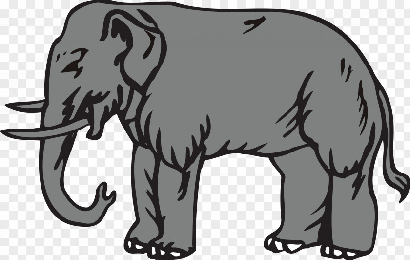 Symbol Indian Elephant African Clip Art PNG